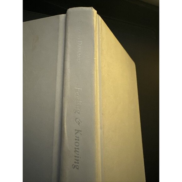 Feeling & Knowing: Making Minds Conscious FIRST EDITION Missing DJ HC Back MARKS - Picture 3 of 7